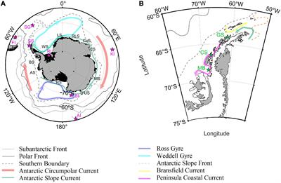 Physical and Biogeochemical Regionalization of the Southern Ocean and the CCAMLR Zone 48.1